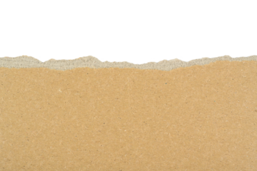 Cartón marrón rasgado sobre fondo blanco