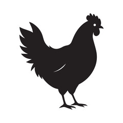 vector chicken art silhouette and white background 