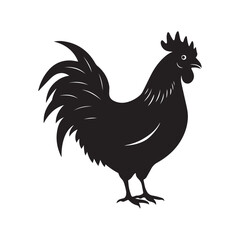 vector chicken art silhouette and white background 