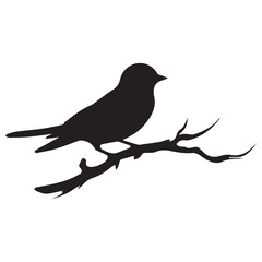 Obraz premium silhouette of a bird