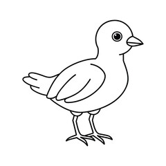 Obraz premium vector silhouette bird on white background