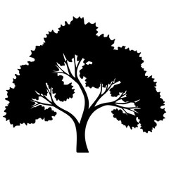 Tree Silhouette 