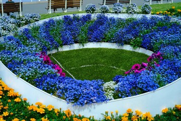 綺麗な庭で撮影した色とりどりの花達