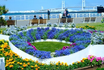 綺麗な庭で撮影した色とりどりの花達