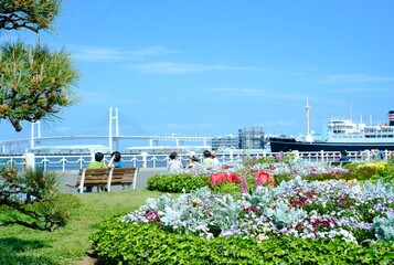 綺麗な庭で撮影した色とりどりの花達