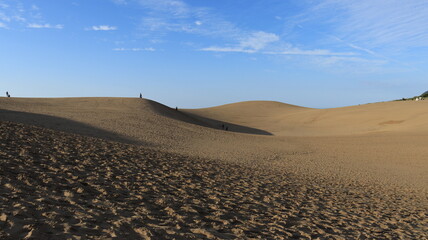 Naklejka premium 鳥取砂丘