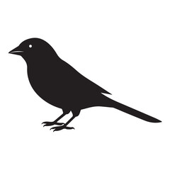 crow on a white background