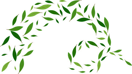 Nature floating green leaves flying decoration freshening greenery ecology illustration © Little J