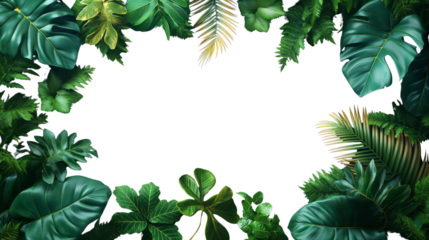 Tropical jungle background with green leaves  background for decoration of art frame wallpaper, card on transparent background