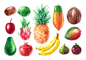Hand drawn watercolor pineapple, banana, pomegranate, dragon fruit, pitaya, kiwi, fig, papaya, mango, mangosteen, coconut, passion fruit, avocado, lime