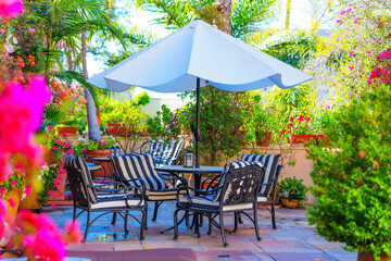 Sunny Patio Garden with Umbrella and Seating Area