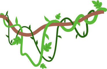 Obraz premium Liana vines Illustration 