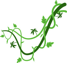 Liana vines Illustration  © DesignNFMR