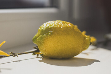lemon on the table