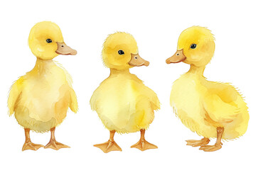 Set of watercolor cute cartoon small baby ducks vector illustration