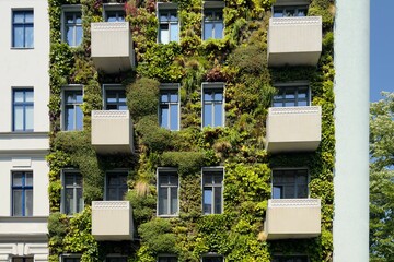 Growing Plants on the Facade of a House