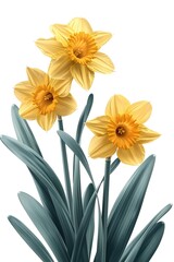 Fototapeta premium Decorative Daffodil Edge:Golden Yellow Flowers,Graceful Stems,Verdant Leaves in a Botanical Border
