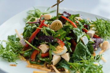 Salad with cabbage, cucumber, egg, onion, tuna and olive oil on a white saucer on a white background