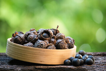 Dried sapindus rarak fruits on natural background.
