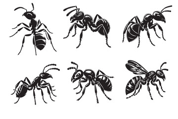 Ant silhouette vector illustration.eps