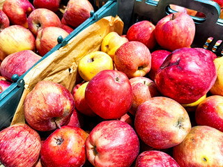 apples in a basket