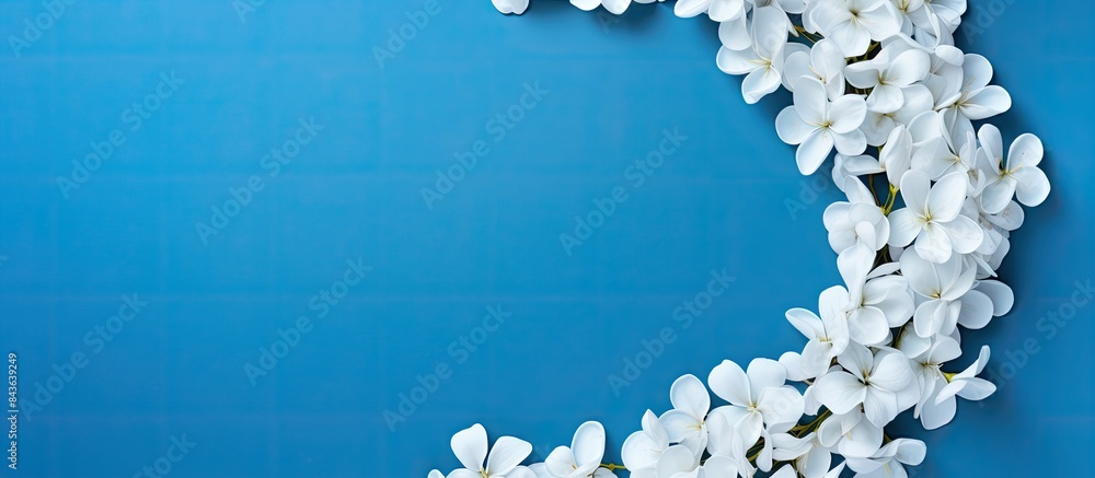 Poster There is a copy space image with a blank circle flower frame created using white acacia petals set against a blue background