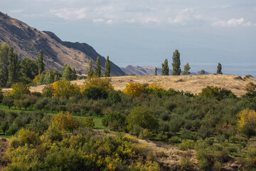 Obraz premium View of the mountains in Armenia