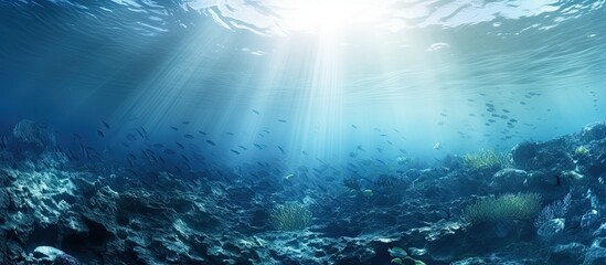 The copy space image represents a captivating marine underwater scene showcasing the vast beauty of the ocean and sea in relation to diving