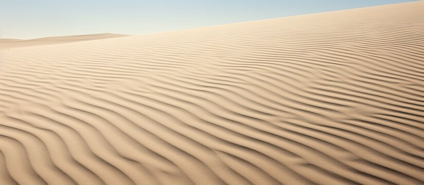 This sentence seems to be incomplete as it only consists of the phrase Sand lines Can you please provide more context or clarify what you would like me to paraphrase. Copyspace image