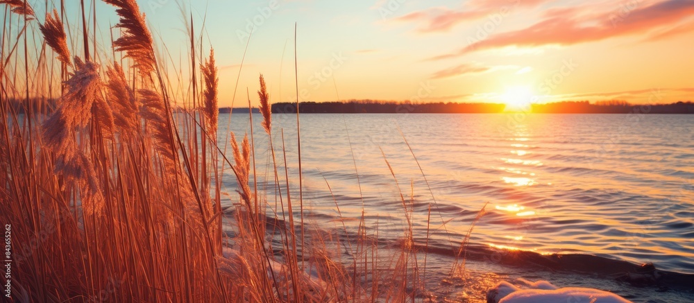 Poster sunset winter landscape on a lake with a reed growing on the shore against the background of the set