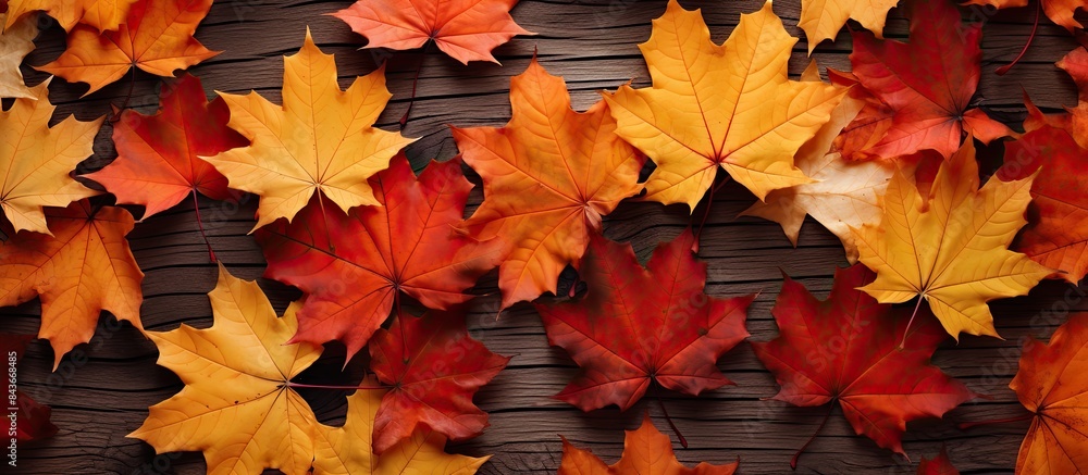 Poster creative seasonal autumn background close up of maple leaves with place for text autumn background t