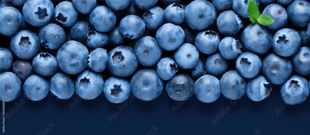 Poster fresh berries blueberry on blue background colorful fruit pattern of blueberries as background creat
