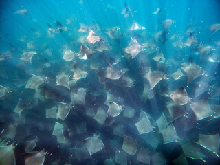 C:\DCIM\100GOPRO\G0151556.GPR