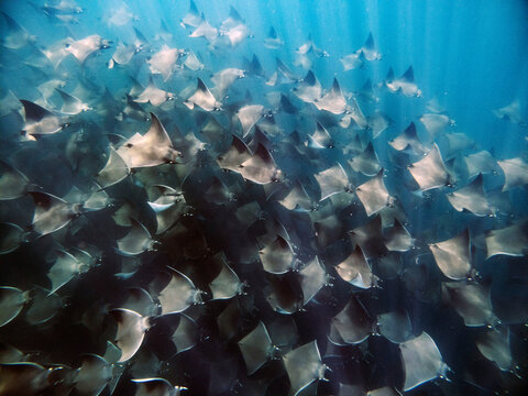 C:\DCIM\100GOPRO\G0251649.GPR