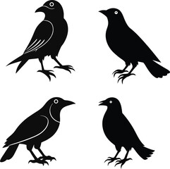 set of black bird silhouettes vector elements vector