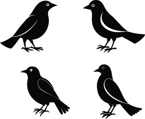 set of black bird silhouettes vector elements vector