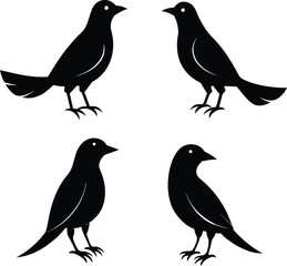 set of black bird silhouettes vector elements vector