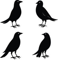 set of black bird silhouettes vector elements vector