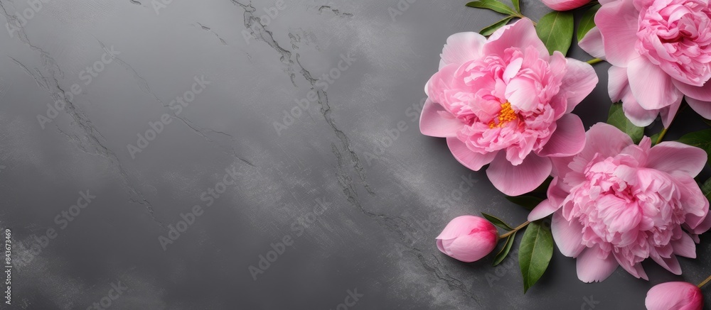 Aufkleber beautiful pink peony flowers on gray stone table with copy space for your text flat style top view