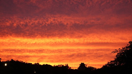 大阪城公園の夕焼け