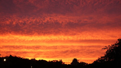 大阪城公園の夕焼け