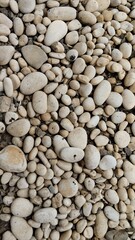 a cold rocky mountain texture map top view.