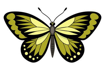 cute butterfly vector artwork illustration,