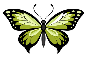 cute butterfly vector artwork illustration,