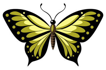 cute butterfly vector artwork illustration,