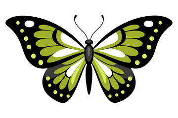 cute butterfly vector artwork illustration,