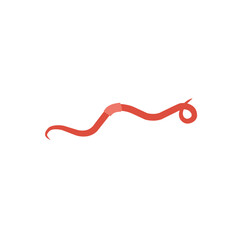 red worm vector 