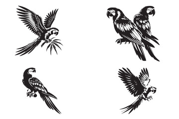 macaw silhouette vector illustration