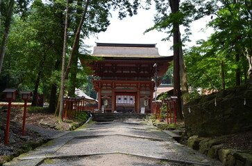 【滋賀県】日吉大社・東本宮桜門
