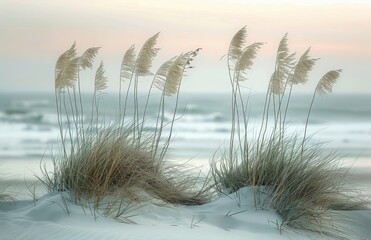 Tall Grasses Swaying in the Gentle Coastal Breeze at Sunset
